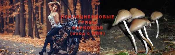бутик Баксан