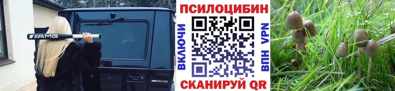 Галлюциногенные грибы мухоморы  где продают наркотики  Барабинск 