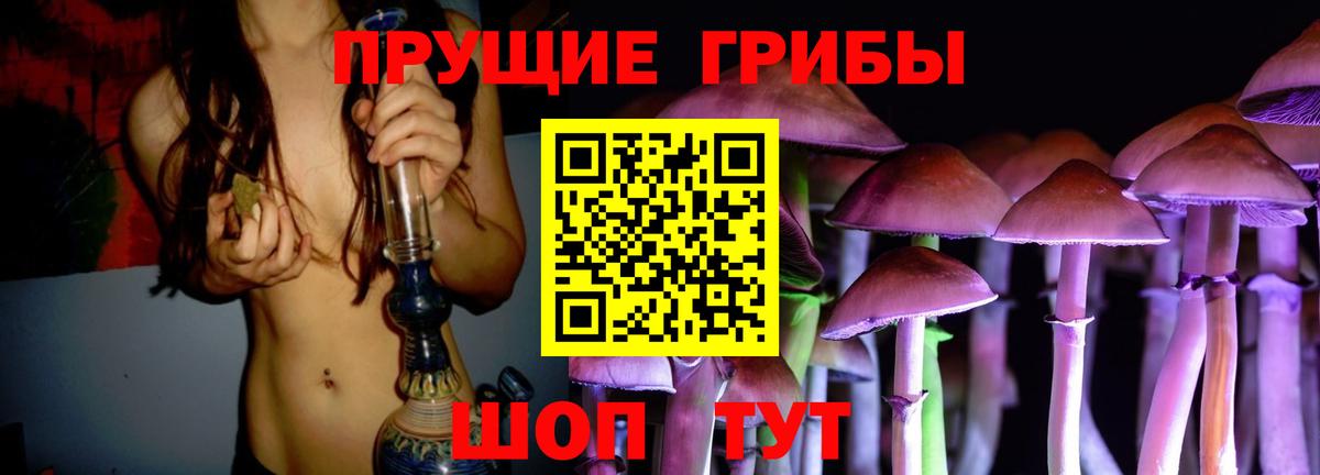 Псилоцибиновые грибы мухоморы  Вход с VPN  Псилоцибиновые грибы мухоморы  Барабинск 